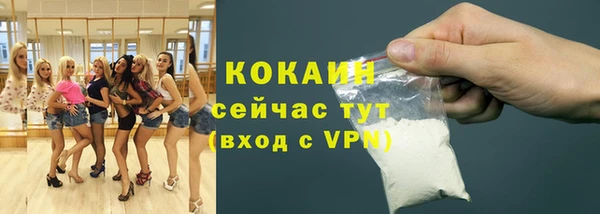 крисы Верхний Тагил