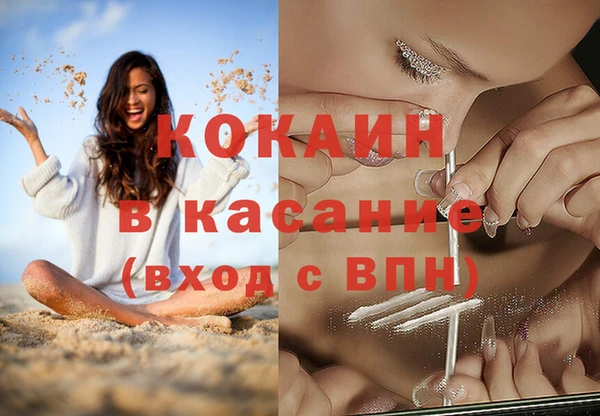 крисы Верхний Тагил