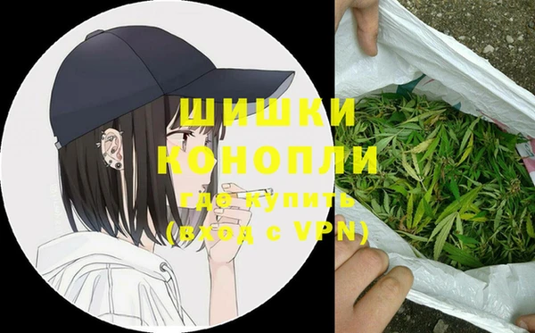 крисы Верхний Тагил